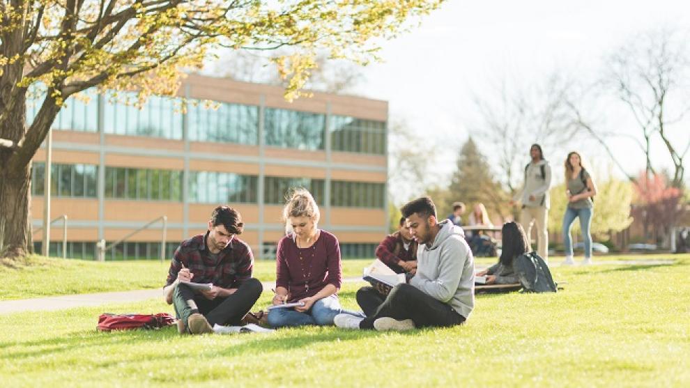 Students reading in the park